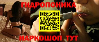 индика Будённовск