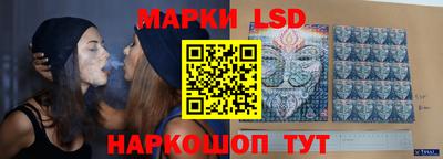 индика Будённовск