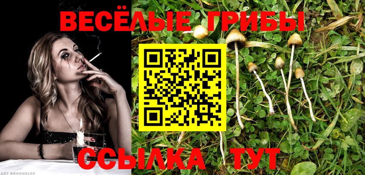 Обь  как найти закладки  Вход с VPN  Галлюциногенные грибы GOLDEN TEACHER 